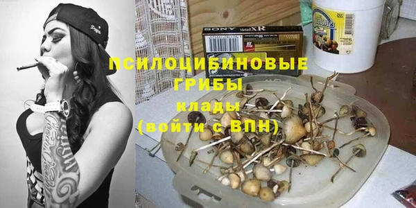 apvp Баксан